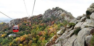 [조용준의 여행만리]유달산에 오작교… 둥실~하늘길 열린 목포