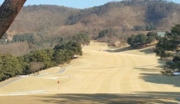 설 연휴 골프장으로 오세요