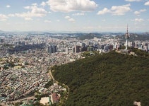 용산구, 산림병해충 예찰·방제