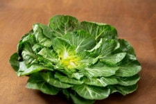 [요리수다] 봄을 미리 맞이하며 맛보았던  봄동