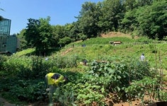 삶의 활력소 필요할 땐 나만의 텃밭 가꾸기 도전!