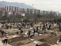도봉구, 친환경 나눔텃밭 분양 모집