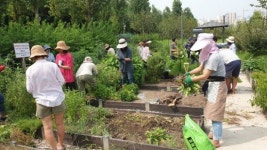 흙에서 살어리랏다...노원구  ‘도시농부학교’ 운영