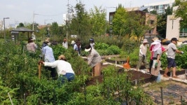 노원구, 공공 도시 텃밭 442구획 분양