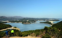 [조용준의 여행만리]철조망 사라진 거진 해안로…짧지만 느낌은 길고 짜릿