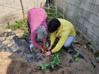 전남 완도군 금일읍·이장단, 어르신들 위해 두 팔 걷어
