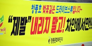 [조용준의 여행만리]흐드러지게 핀 벚꽃이 야속하지만‥그냥 지나갑니다