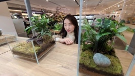 지친 마음에 반려식물 처방…코로나19 속 홈가드닝 수요 2배 ↑