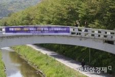 [포토]양재천, 4주 만에 주말 개방