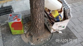 나 하나쯤이야 도심 가로수 전봇대 쓰레기장 전락 [한기자가 간다]