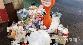 [르포]여기가 쓰레기장인가요? 도심 가로수 전봇대 각종 오물로 몸살(종합)