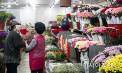 [포토]카네이션 한아름