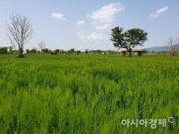 경남 함안군, 강나루생태공원 오토캠핑장 운영 재개