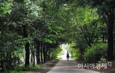 [포토] 녹음 짙은 힐링의 숲