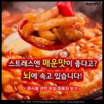 [카드뉴스]스트레스엔 매운맛이 좋다고? 뇌에 속고 있습니다!