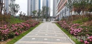 인천 송도국제도시 완충녹지 5곳 추가…총 32곳 44만8천㎡ 조성