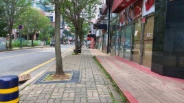 김해시, 진영·삼계지역에 보행자 친화적 가로수길 조성