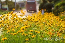 창원시, STX 무급휴직자와 함께 ‘그린뉴딜 공공근로사업’ 시행
