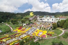 코로나19 확산 속 임실N치즈축제 공식 취소