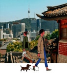 [남산 딸깍발이]서울동네, 구석구석, 뚜벅뚜벅