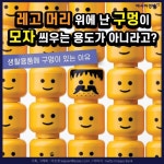 [카드뉴스]레고 머리 위에 난 구멍이 모자 씌우는 용도가 아니라고?
