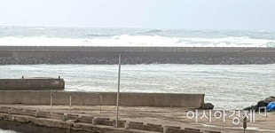 [포토] 태풍 ‘바비’ 상륙 앞둔 제주 태흥포구