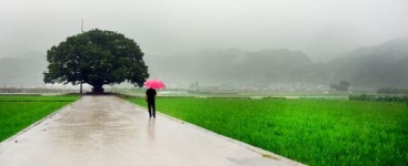[조용준의 여행만리]물소리·새소리·바람소리…불현듯 마주하는 깨달음의 소리