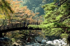 [조용준의 여행만리]물소리·새소리·바람소리…불현듯 마주하는 깨달음의 소리