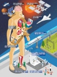 2045과학기술 재생치아에서 우주개발까지
