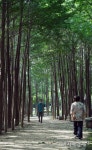 [포토] 산책하기 좋은 날