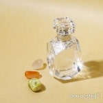 “나를 찾아줘” 향기로운 여정 니치향수 6