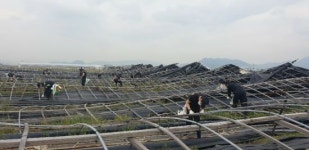 부산경찰, 태풍 피해 복구작업 나서