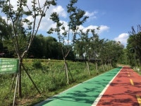 송파둘레길 숲길 조성 주민헌수 참여자 모집