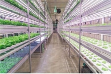 서울 지하철 스마트팜 지방공기업 혁신 최우수 사례 뽑혀