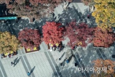 [포토]단풍 물든 남산
