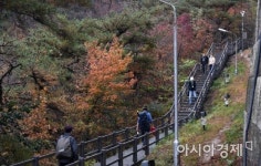 [포토] 북악산 탐방로 걷는 시민들