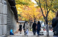 [포토]낙엽 떨어진 덕수궁길