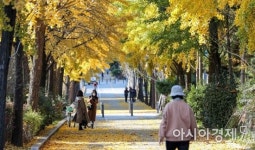 [오늘날씨] 매우 춥고 건조한 아침…서울 영하 1도