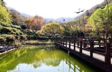 [조용준의 여행만리]수직 철계단 오금이 저려도, 어찌 돌아보지 않으랴, 이 가을의 절정