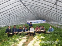 포항시 청림동 14곳 농가, 여름 무 예비수출단지로 선정