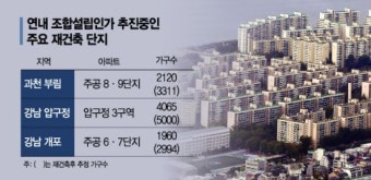 '규제의 역설'…압구정·개포·과천 알짜 재건축 조합설립 임박
