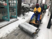 눈 와도 걱정 마세요~~~서울 강서구, 제설대책 준비 완료