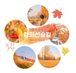 제4회 마포구 블로그 공모전 1위?...마포 걷고싶은길 경의선 숲길