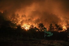 봄철 산불 예방‥강원도, 산불 방지 체계 본격 가동