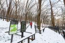 [포토]양천구 계남근린공원 무장애숲길 설경 아름다워~~~
