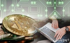 가상화폐 손실 메우려다… 고객 돈 빼돌린 벤츠 딜러 실형