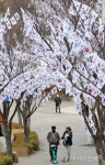 [포토] 효창공원 앞에 조성된 태극기 거리