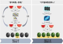 종자업체 20곳에 디지털육종 전환비 최대 6억 지원