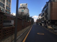 강남구 신사동 가로수길 1.2㎞ · 대치동 도곡초 0.6㎞ 지중화 착수
