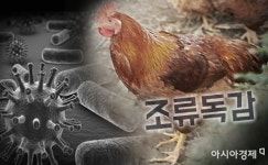 전남 나주 산란계 농장서 고병원성 AI 의심사례
